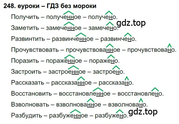 Решение 2. номер 248 (страница 91) гдз по русскому языку 7 класс Разумовская, Львова, учебник