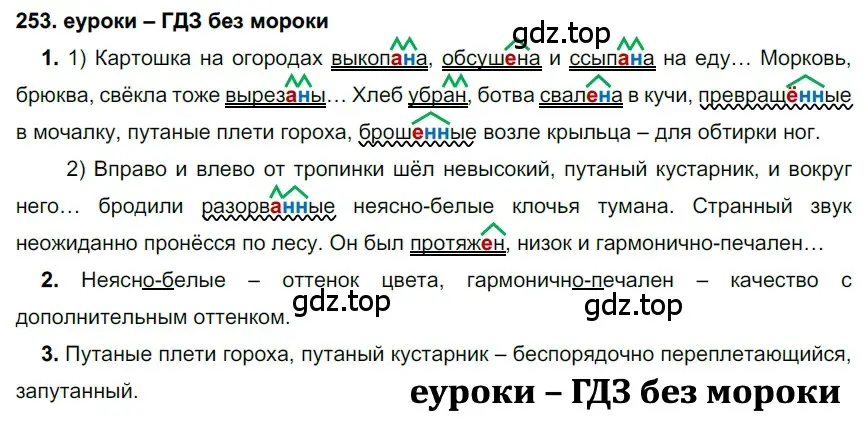 Решение 2. номер 253 (страница 92) гдз по русскому языку 7 класс Разумовская, Львова, учебник