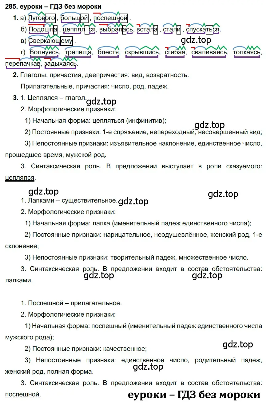 Решение 2. номер 285 (страница 107) гдз по русскому языку 7 класс Разумовская, Львова, учебник