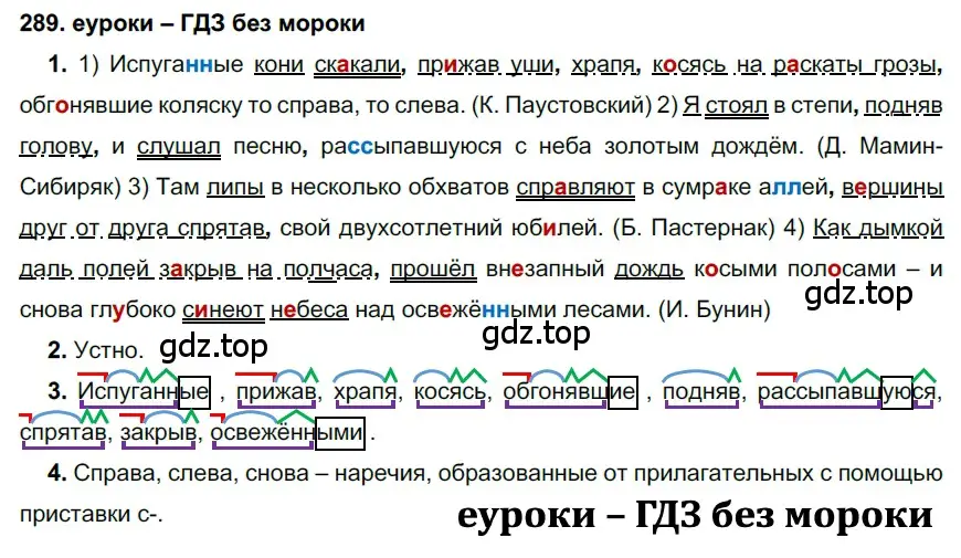 Решение 2. номер 289 (страница 109) гдз по русскому языку 7 класс Разумовская, Львова, учебник