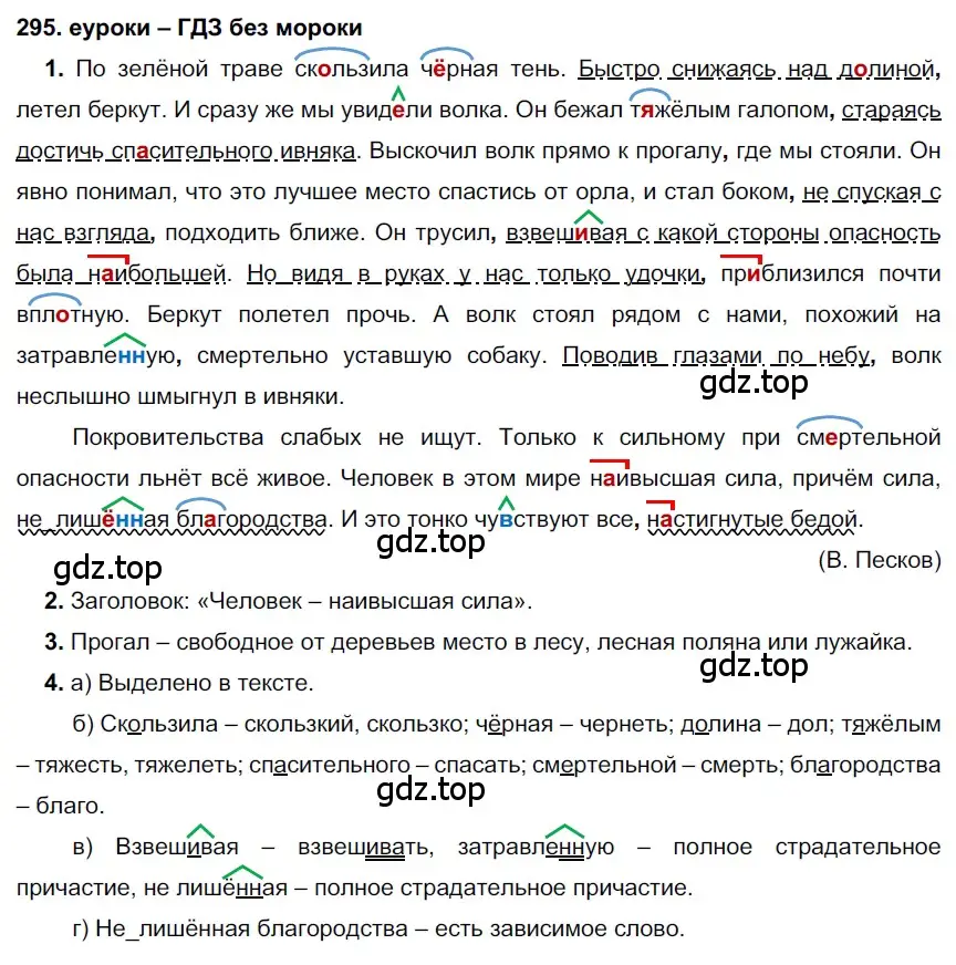 Решение 2. номер 295 (страница 111) гдз по русскому языку 7 класс Разумовская, Львова, учебник