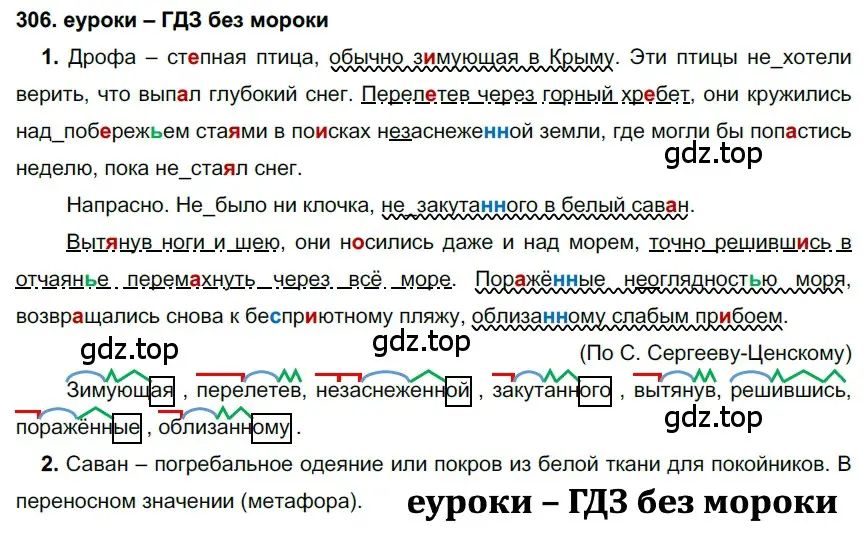 Решение 2. номер 306 (страница 115) гдз по русскому языку 7 класс Разумовская, Львова, учебник