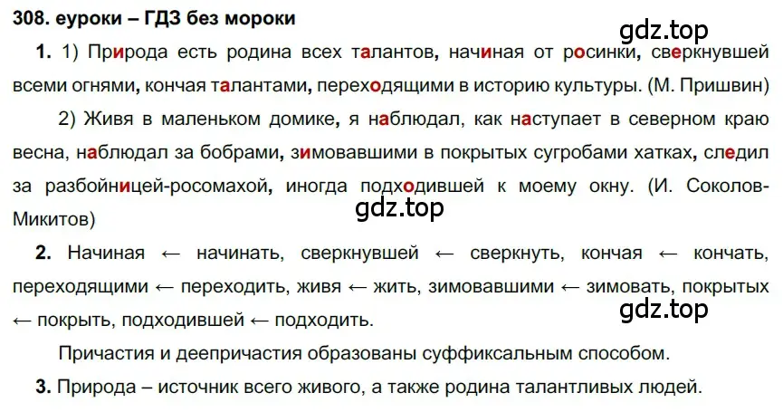 Решение 2. номер 308 (страница 116) гдз по русскому языку 7 класс Разумовская, Львова, учебник