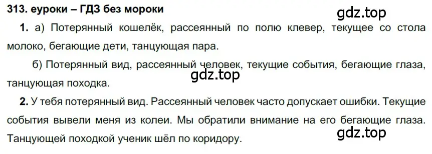 Решение 2. номер 313 (страница 119) гдз по русскому языку 7 класс Разумовская, Львова, учебник