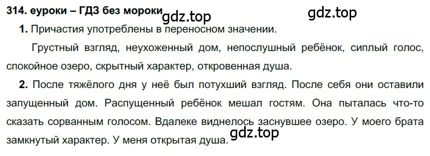 Решение 2. номер 314 (страница 119) гдз по русскому языку 7 класс Разумовская, Львова, учебник