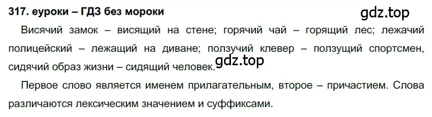 Решение 2. номер 317 (страница 120) гдз по русскому языку 7 класс Разумовская, Львова, учебник