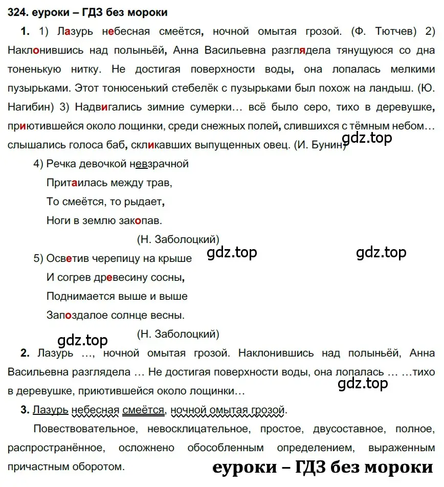 Решение 2. номер 324 (страница 122) гдз по русскому языку 7 класс Разумовская, Львова, учебник