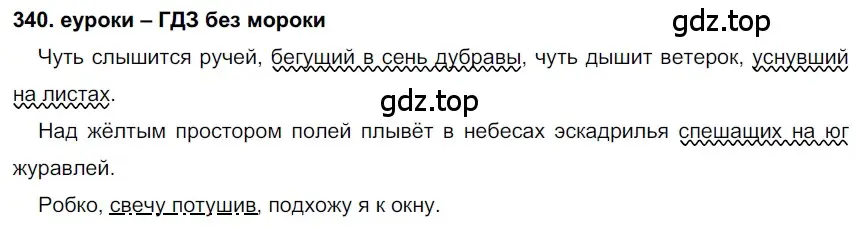 Решение 2. номер 340 (страница 128) гдз по русскому языку 7 класс Разумовская, Львова, учебник