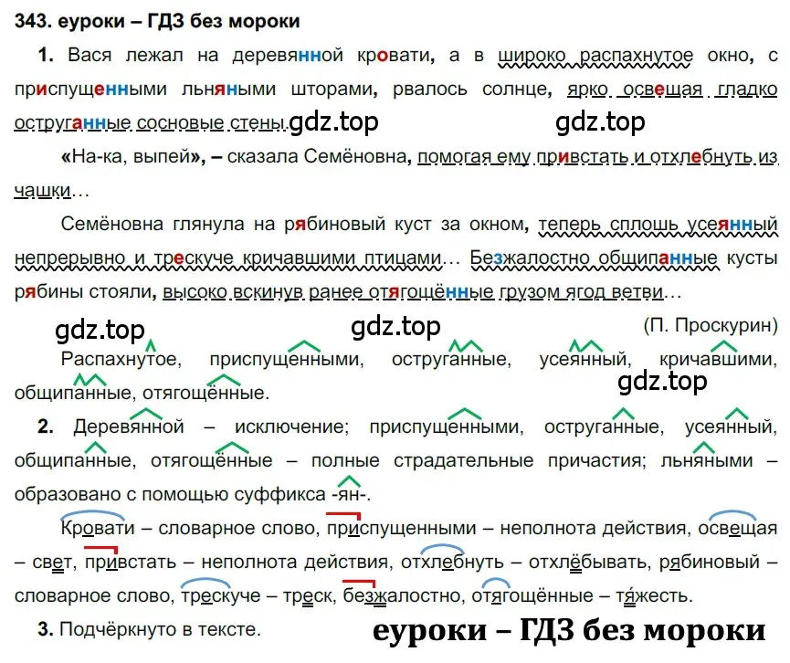 Решение 2. номер 343 (страница 129) гдз по русскому языку 7 класс Разумовская, Львова, учебник