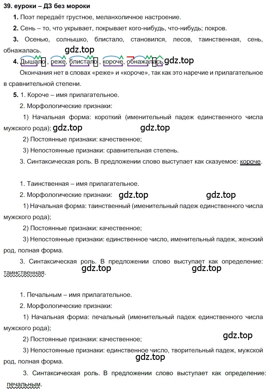 Решение 2. номер 39 (страница 19) гдз по русскому языку 7 класс Разумовская, Львова, учебник