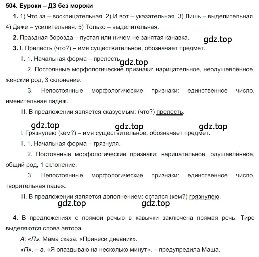 Решение 2. номер 504 (страница 191) гдз по русскому языку 7 класс Разумовская, Львова, учебник