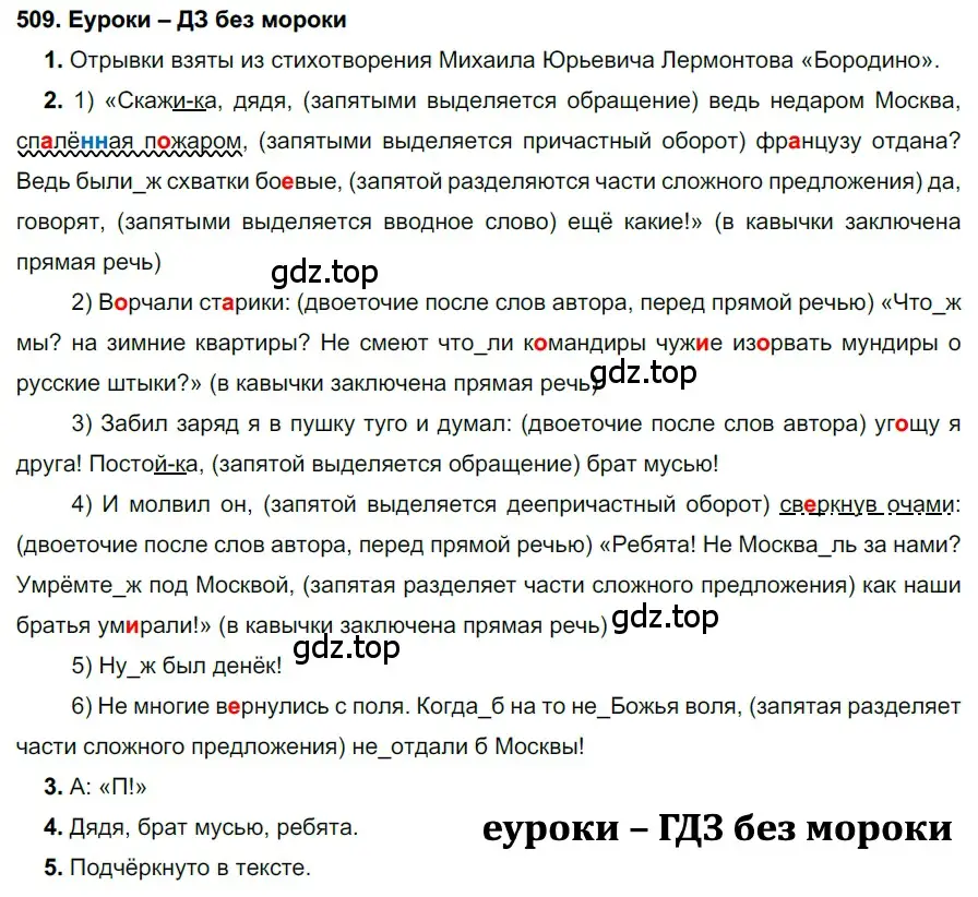 Решение 2. номер 509 (страница 193) гдз по русскому языку 7 класс Разумовская, Львова, учебник