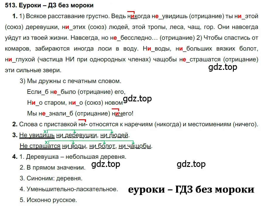 Решение 2. номер 513 (страница 195) гдз по русскому языку 7 класс Разумовская, Львова, учебник