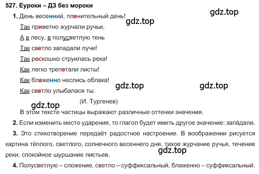 Решение 2. номер 527 (страница 202) гдз по русскому языку 7 класс Разумовская, Львова, учебник