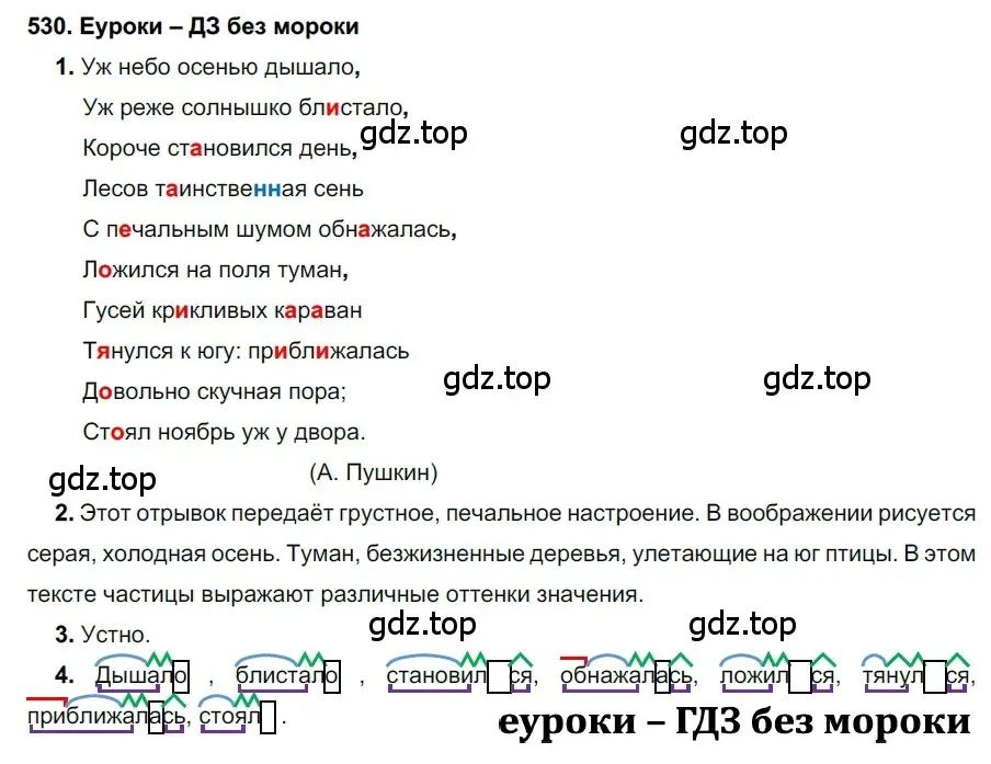 Решение 2. номер 530 (страница 203) гдз по русскому языку 7 класс Разумовская, Львова, учебник