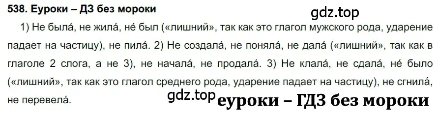 Решение 2. номер 538 (страница 207) гдз по русскому языку 7 класс Разумовская, Львова, учебник