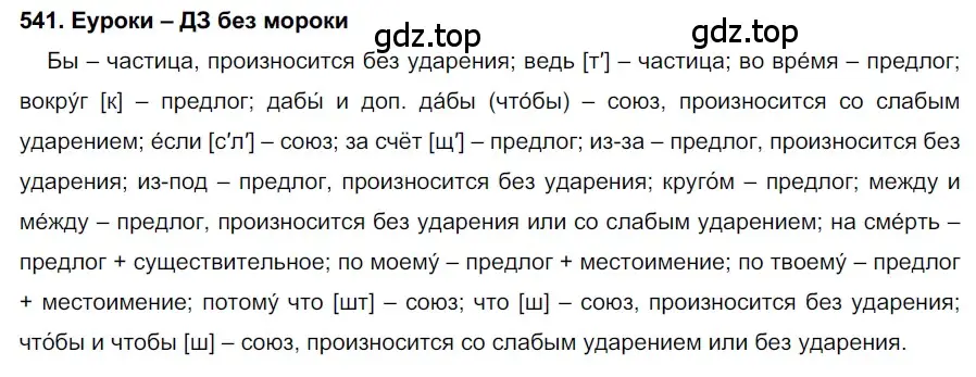 Решение 2. номер 541 (страница 207) гдз по русскому языку 7 класс Разумовская, Львова, учебник