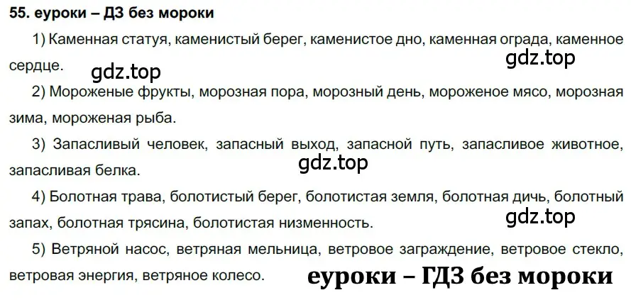 Решение 2. номер 55 (страница 24) гдз по русскому языку 7 класс Разумовская, Львова, учебник