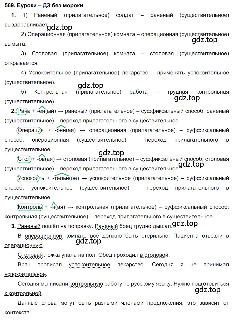 Решение 2. номер 569 (страница 217) гдз по русскому языку 7 класс Разумовская, Львова, учебник