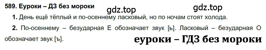 Решение 2. номер 589 (страница 226) гдз по русскому языку 7 класс Разумовская, Львова, учебник