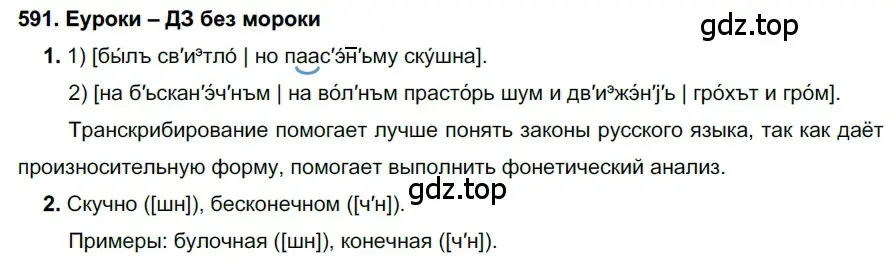 Решение 2. номер 591 (страница 227) гдз по русскому языку 7 класс Разумовская, Львова, учебник