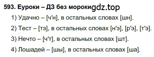 Решение 2. номер 593 (страница 227) гдз по русскому языку 7 класс Разумовская, Львова, учебник