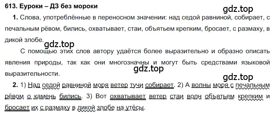 Решение 2. номер 613 (страница 232) гдз по русскому языку 7 класс Разумовская, Львова, учебник