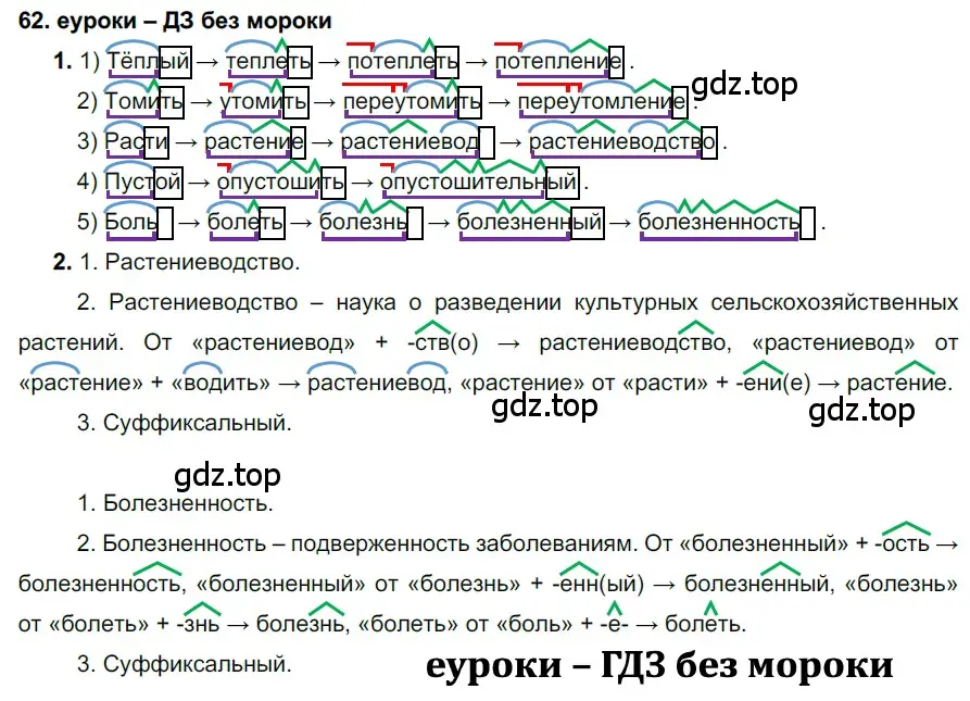 Решение 2. номер 62 (страница 26) гдз по русскому языку 7 класс Разумовская, Львова, учебник