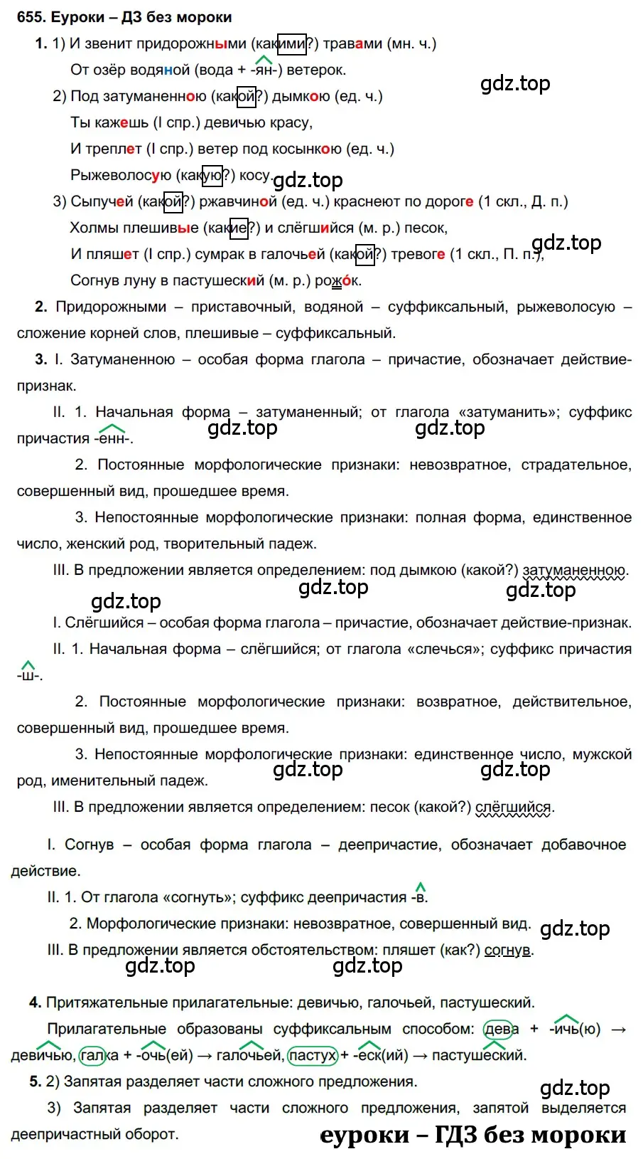 Решение 2. номер 655 (страница 248) гдз по русскому языку 7 класс Разумовская, Львова, учебник