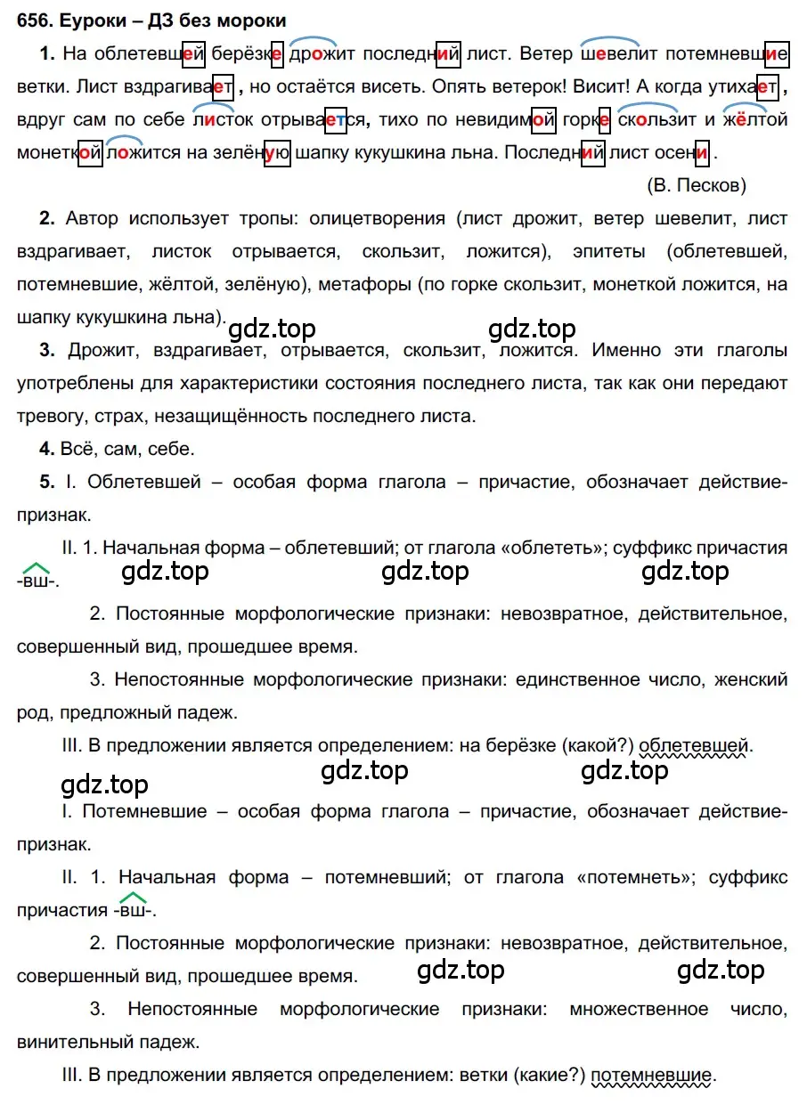 Решение 2. номер 656 (страница 249) гдз по русскому языку 7 класс Разумовская, Львова, учебник