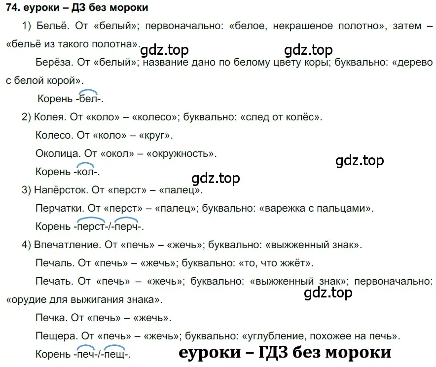 Решение 2. номер 74 (страница 29) гдз по русскому языку 7 класс Разумовская, Львова, учебник