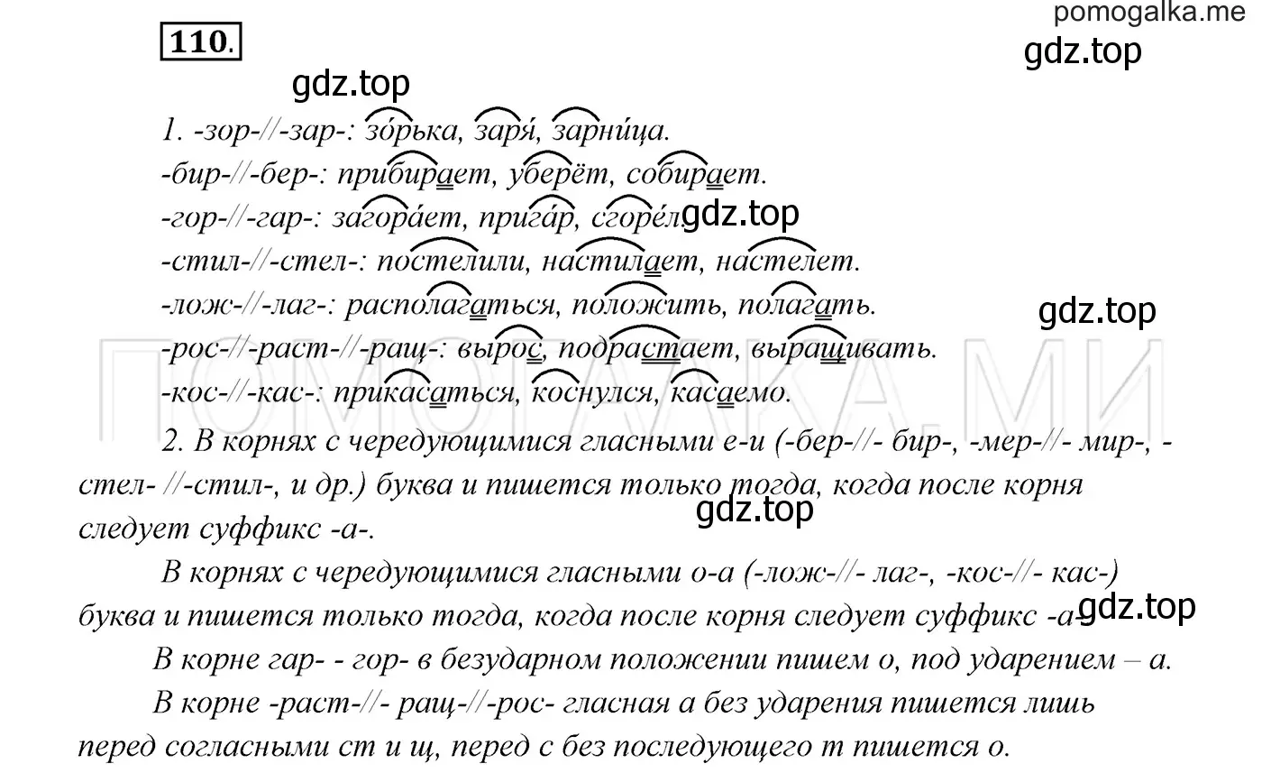 Решение 3. номер 110 (страница 41) гдз по русскому языку 7 класс Разумовская, Львова, учебник