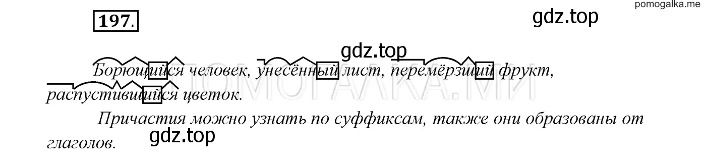 Решение 3. номер 197 (страница 72) гдз по русскому языку 7 класс Разумовская, Львова, учебник