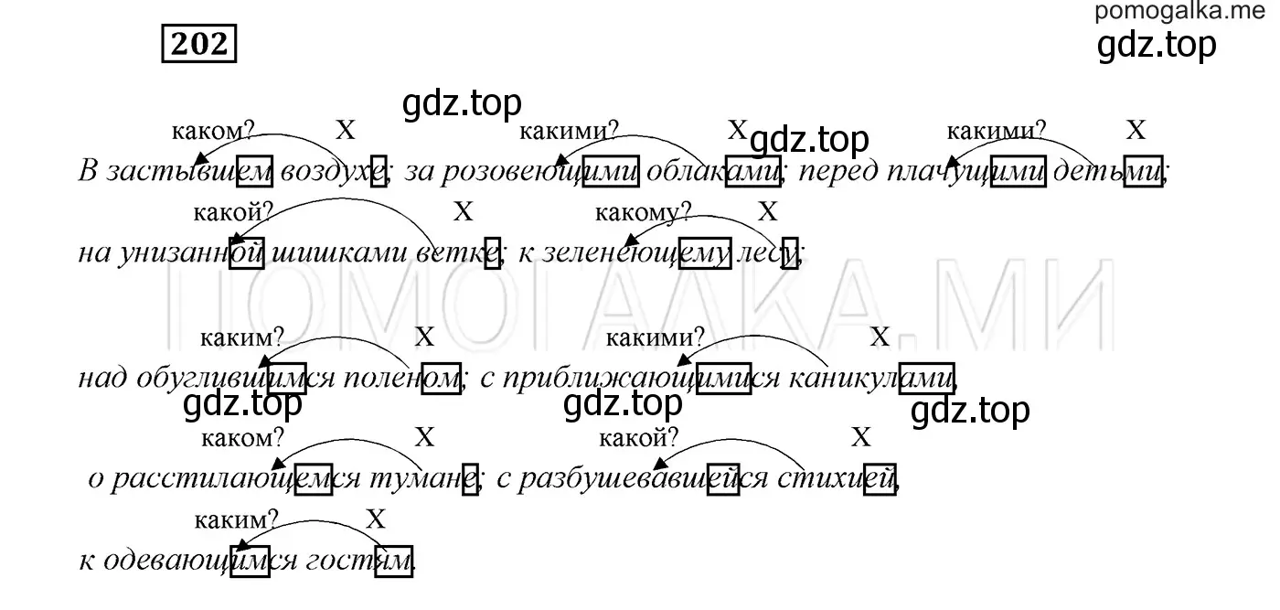 Решение 3. номер 202 (страница 73) гдз по русскому языку 7 класс Разумовская, Львова, учебник