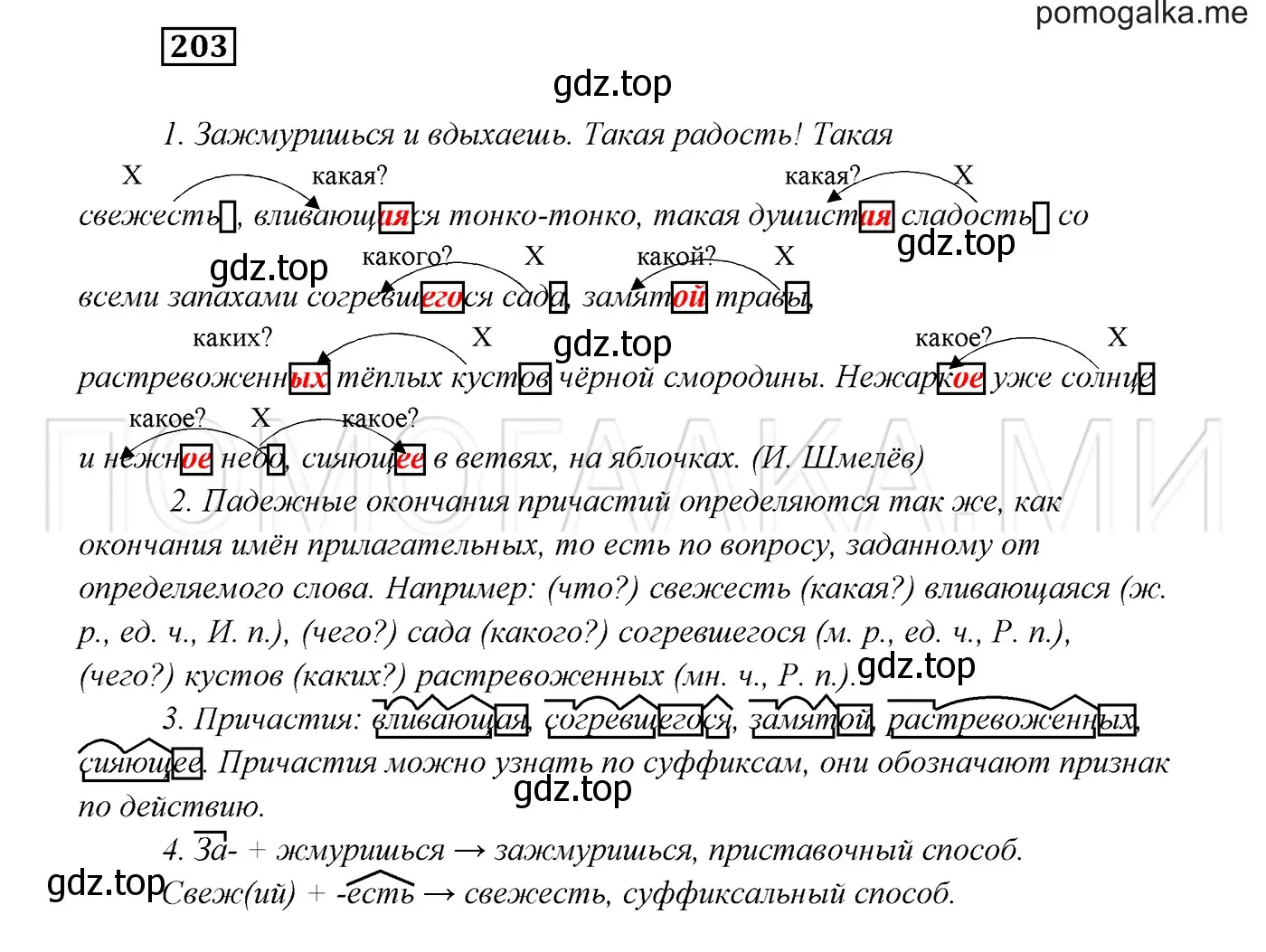 Решение 3. номер 203 (страница 74) гдз по русскому языку 7 класс Разумовская, Львова, учебник