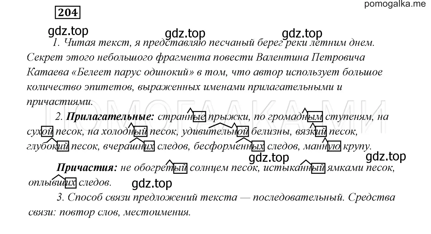 Решение 3. номер 204 (страница 74) гдз по русскому языку 7 класс Разумовская, Львова, учебник