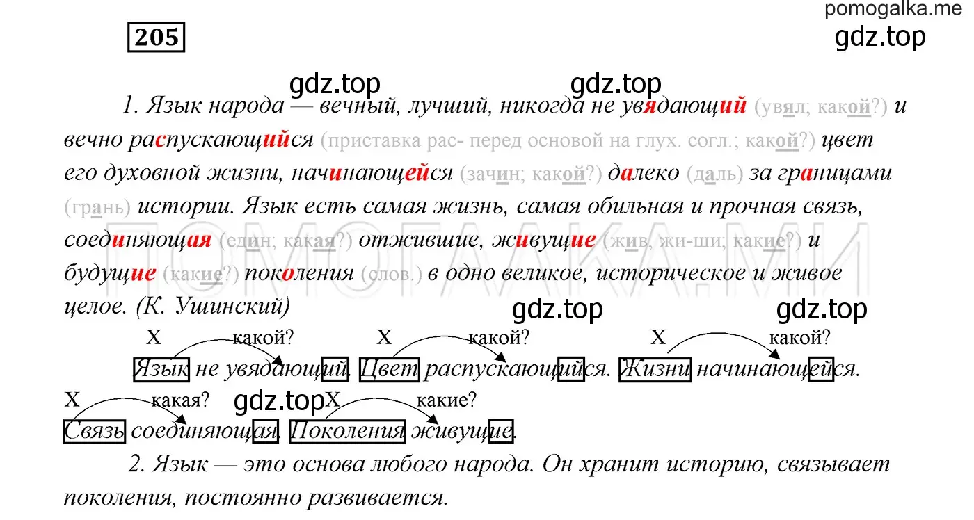 Решение 3. номер 205 (страница 74) гдз по русскому языку 7 класс Разумовская, Львова, учебник