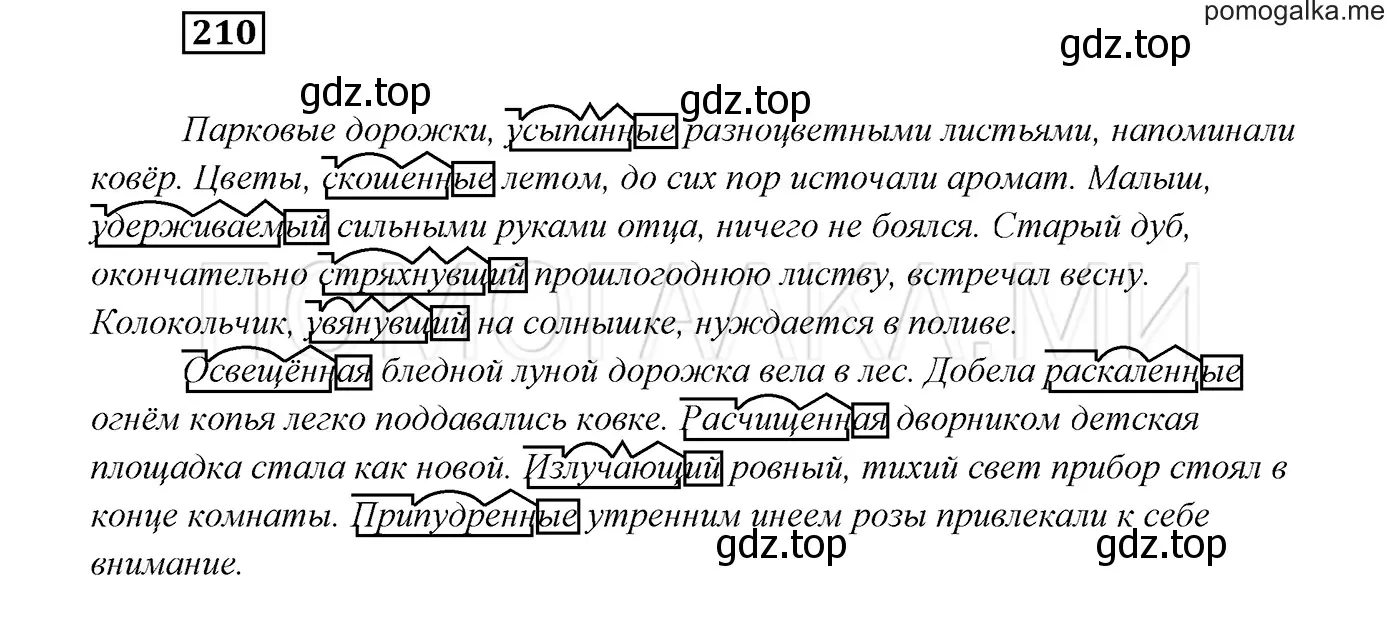 Решение 3. номер 210 (страница 76) гдз по русскому языку 7 класс Разумовская, Львова, учебник