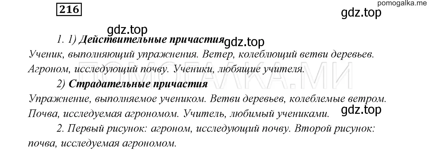 Решение 3. номер 216 (страница 79) гдз по русскому языку 7 класс Разумовская, Львова, учебник