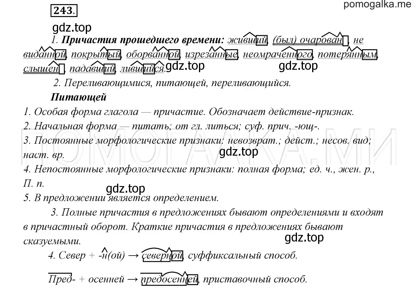 Решение 3. номер 243 (страница 89) гдз по русскому языку 7 класс Разумовская, Львова, учебник