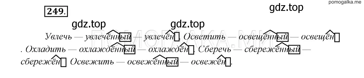 Решение 3. номер 249 (страница 91) гдз по русскому языку 7 класс Разумовская, Львова, учебник