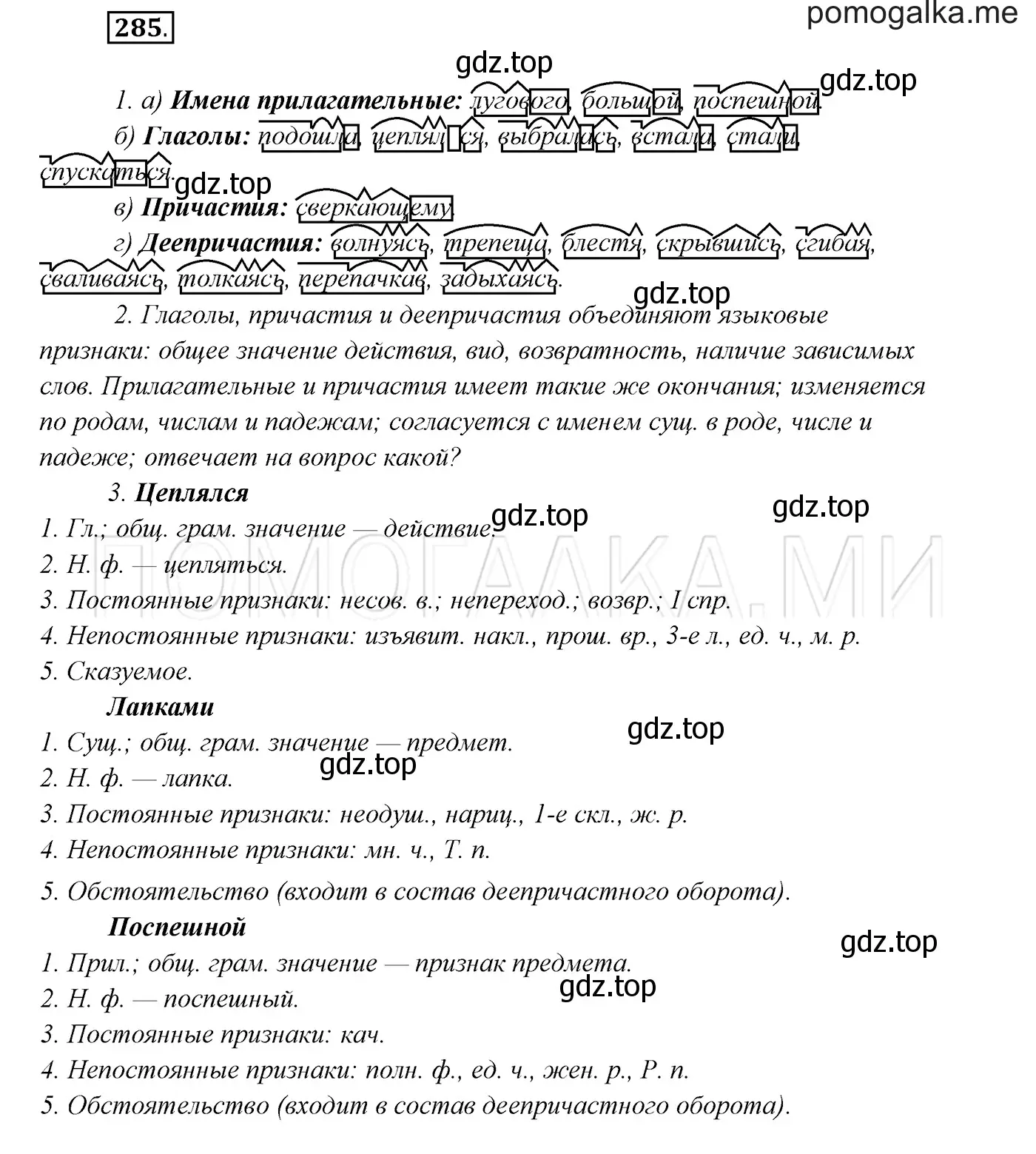 Решение 3. номер 285 (страница 107) гдз по русскому языку 7 класс Разумовская, Львова, учебник