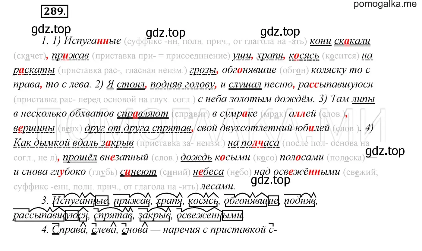 Решение 3. номер 289 (страница 109) гдз по русскому языку 7 класс Разумовская, Львова, учебник