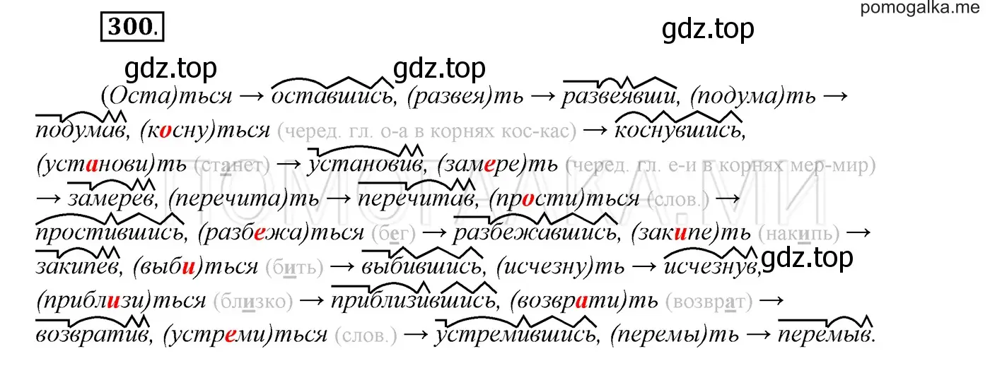 Решение 3. номер 300 (страница 113) гдз по русскому языку 7 класс Разумовская, Львова, учебник