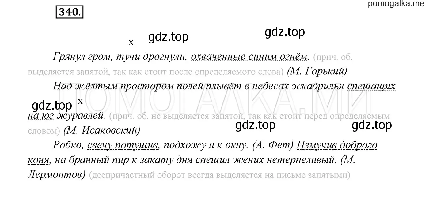 Решение 3. номер 340 (страница 128) гдз по русскому языку 7 класс Разумовская, Львова, учебник