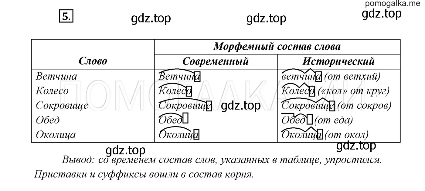 Решение 3. номер 5 (страница 7) гдз по русскому языку 7 класс Разумовская, Львова, учебник