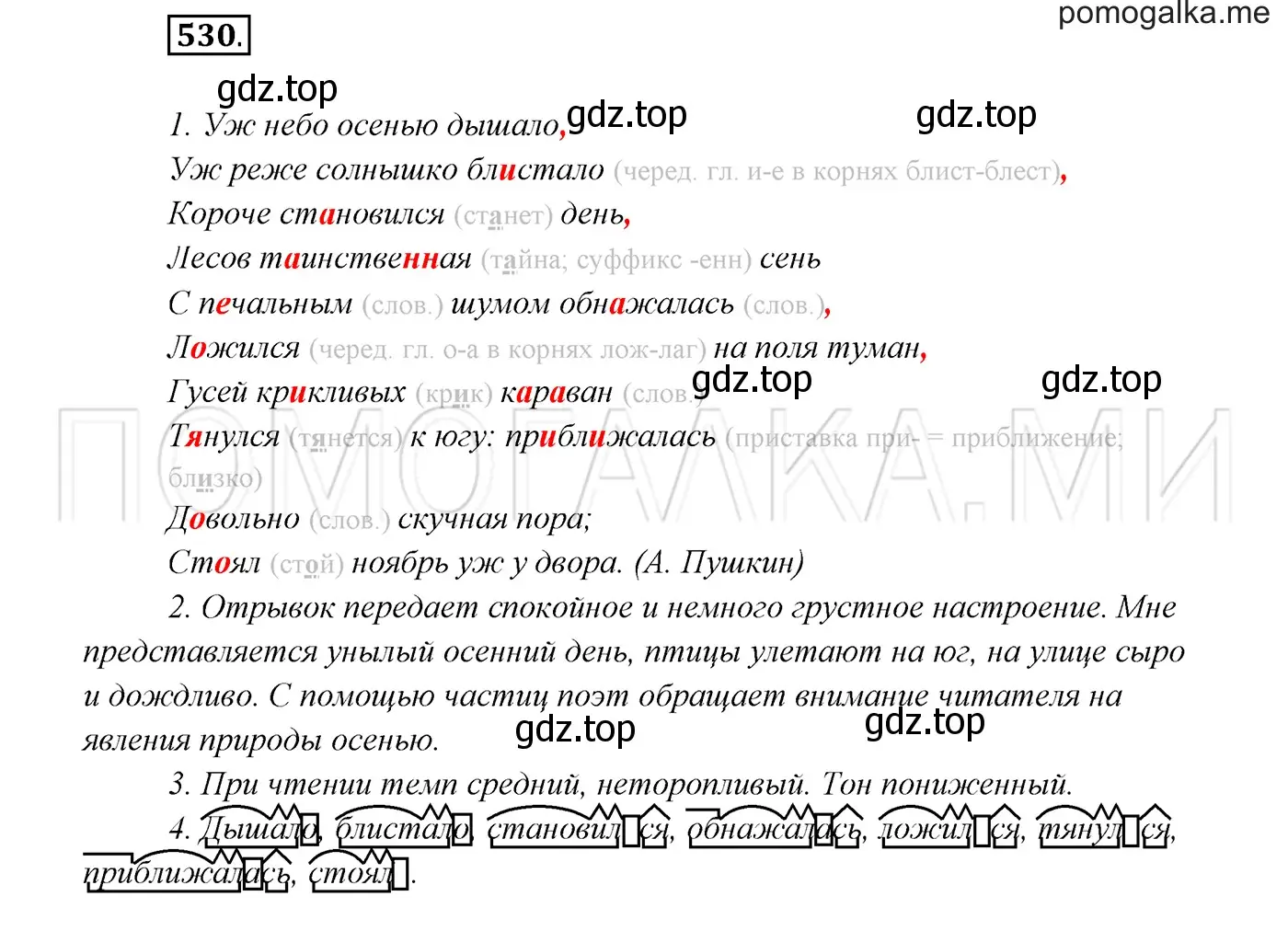 Решение 3. номер 530 (страница 203) гдз по русскому языку 7 класс Разумовская, Львова, учебник