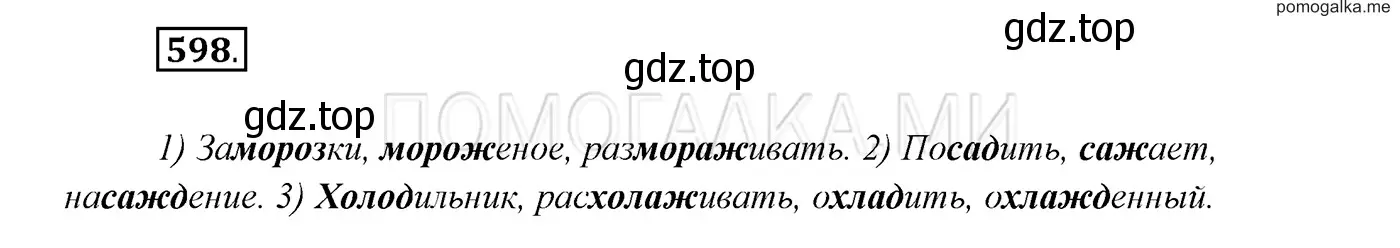 Решение 3. номер 598 (страница 229) гдз по русскому языку 7 класс Разумовская, Львова, учебник