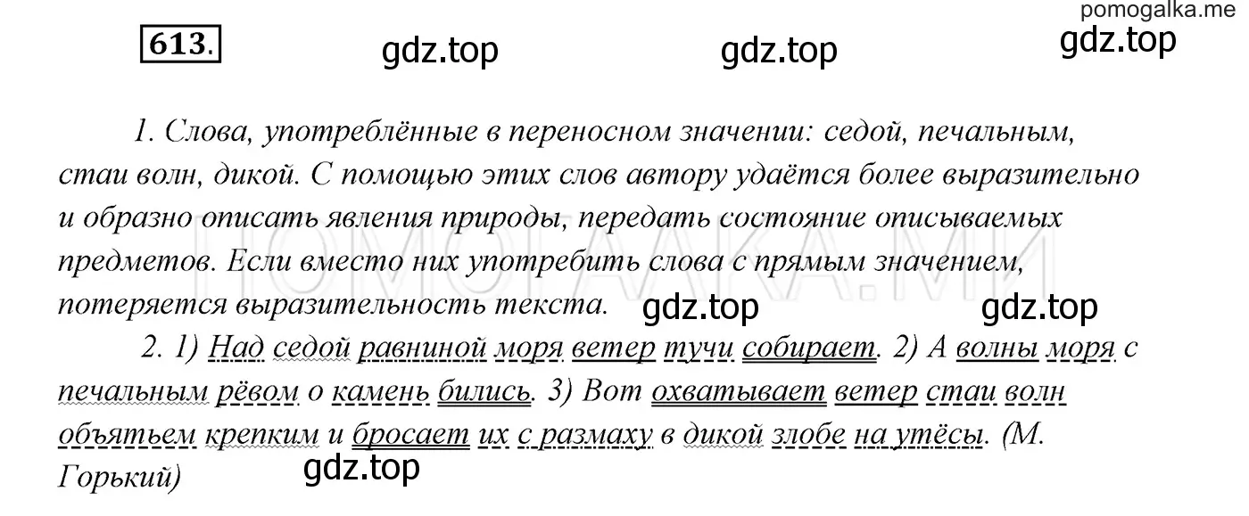 Решение 3. номер 613 (страница 232) гдз по русскому языку 7 класс Разумовская, Львова, учебник