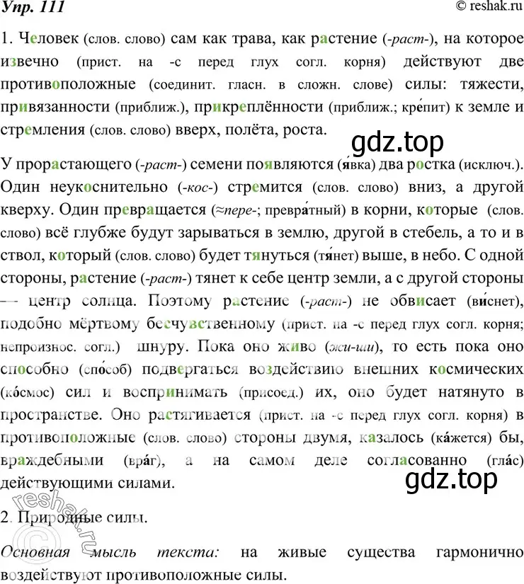 Решение 4. номер 111 (страница 41) гдз по русскому языку 7 класс Разумовская, Львова, учебник